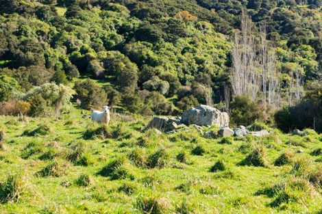 Photo of property in 53 Grange Road, Hapuku, Kaikoura, 7371