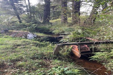 Photo of property in 397 Ruapuke Road, Raglan, 3296