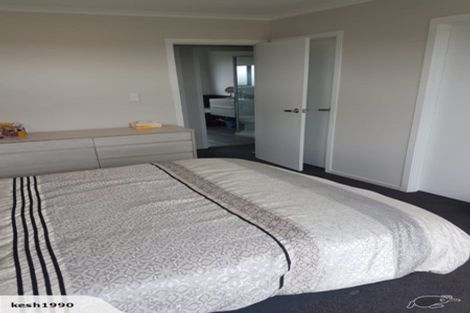 Photo of property in 41 Ladeira Place, Fitzroy, Hamilton, 3206