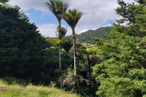 Photo of property in 1762 Kohumaru Road, Peria, Kaitaia, 0482