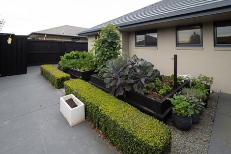 Photo of property in 7 Bennett Place, Allenton, Ashburton, 7700