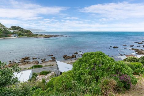 Photo of property in 100 Owhiro Bay Parade, Owhiro Bay, Wellington, 6023