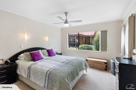 Photo of property in 2/49 Carlisle Road, Torbay, Auckland, 0630