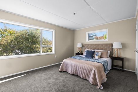 Photo of property in 19 Mangarau Crescent, Havelock North, 4130
