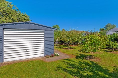 Photo of property in 44 Albert Street, Te Hapara, Gisborne, 4010