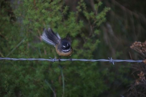 Photo of property in 275 Wainui Valley Road, Wainui, Akaroa, 7582