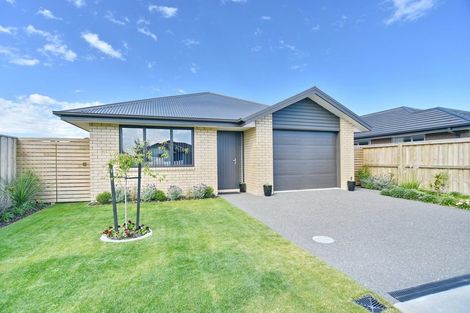 Photo of property in 36 Pakohe Street, Pegasus, 7612