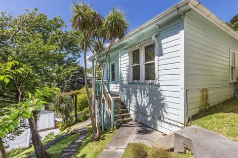 Photo of property in 209 Aro Street, Aro Valley, Wellington, 6021