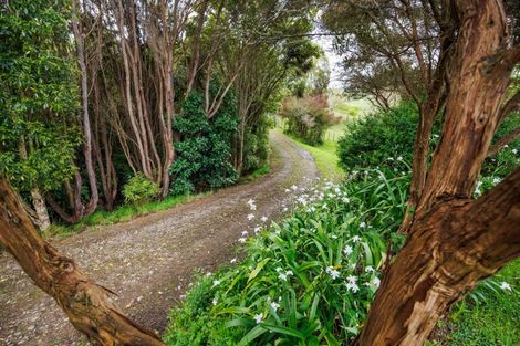 Photo of property in 484 Finnis Road, Pohangina, Feilding, 4775