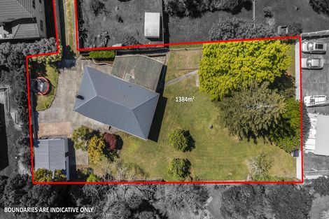 Photo of property in 16 Waitaki Street, Henderson, Auckland, 0612