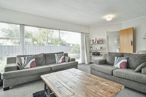Photo of property in 45 Te Aute Road, Havelock North, 4130