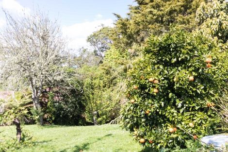 Photo of property in 49 Albert Street, Kawakawa, 0210