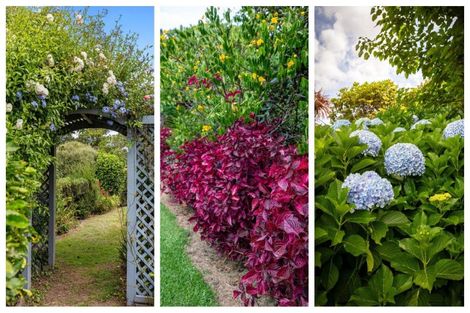 Photo of property in 7 Furniss Lane, Tauriko, Tauranga, 3110