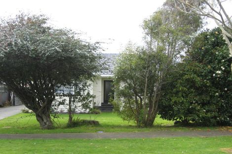 Photo of property in 28 Dudley Street, Levin, 5510