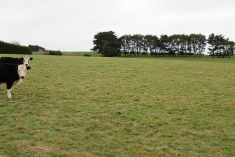 Photo of property in 326 Lorne-dacre Road, Roslyn Bush, Invercargill, 9876