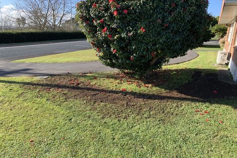 Photo of property in 30 Queen Street, Papakura, 2110