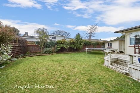 Photo of property in 19 Newcastle Street, Hokowhitu, Palmerston North, 4410