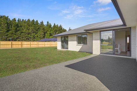 Photo of property in 67 Hilton Drive, Amberley, 7410