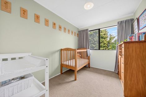 Photo of property in 43 Jellicoe Street, Greytown, 5712