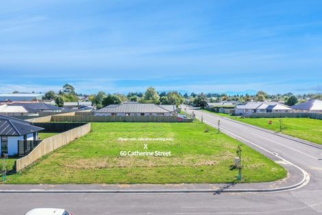 Photo of property in 60 Catherine Street, Tinwald, Ashburton, 7700