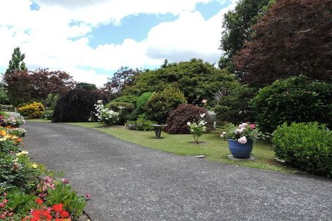 Photo of property in 6 Burwood Road, Matamata, 3400