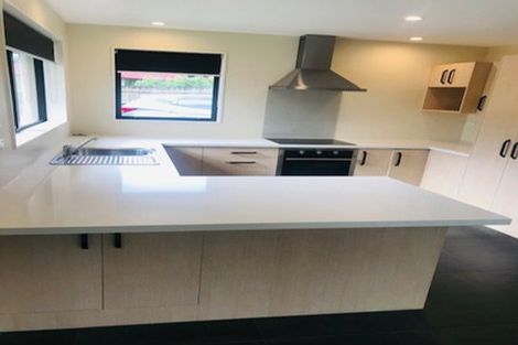 Photo of property in 22c Isabella Drive, Pukekohe, 2120