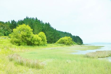 Photo of property in 306 Morrison Road, Kawhia, 3889