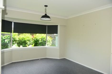 Photo of property in 46 Wymer Terrace, Chartwell, Hamilton, 3210