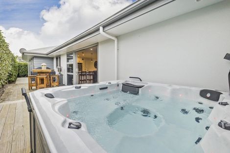 Photo of property in 96a Limbrick Street, Terrace End, Palmerston North, 4410