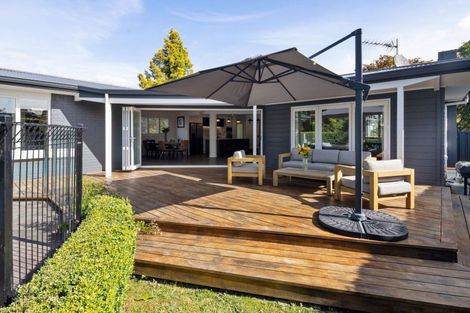 Photo of property in 19 Wymer Terrace, Chartwell, Hamilton, 3210