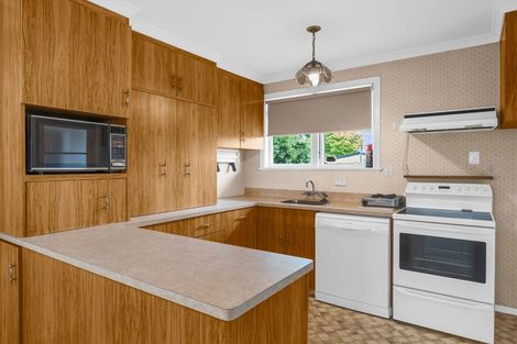 Photo of property in 22 Snowdon Avenue, Terrace End, Palmerston North, 4410