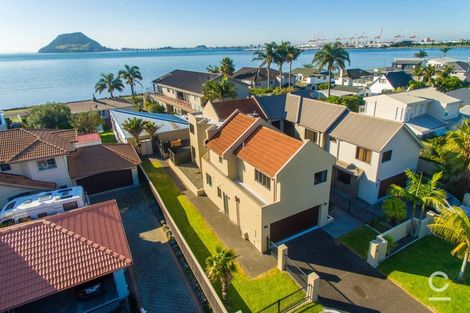 Photo of property in 53 Kulim Avenue, Otumoetai, Tauranga, 3110