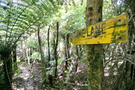 Photo of property in 8 Windridge Lane, Aongatete, Katikati, 3181