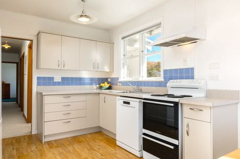 Photo of property in 66 Dillon Street, Blenheim, 7201