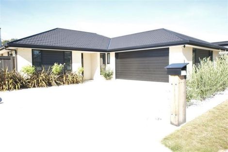 Photo of property in 239 Taylor Pass Road, Witherlea, Blenheim, 7201