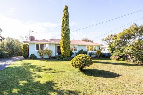Photo of property in 162 Bridge Street, Bulls, 4818