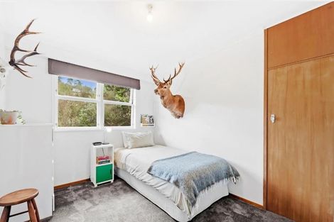 Photo of property in 37 Lilburn Street, Warkworth, 0910