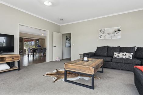 Photo of property in 165 Buckland Road, Matamata, 3472