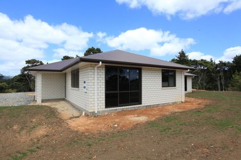 Photo of property in 1024 Ohautira Road, Waingaro, Raglan, 3295