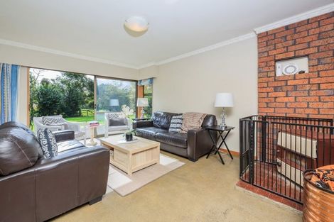 Photo of property in 117 Ponga Road, Opaheke, Papakura, 2584