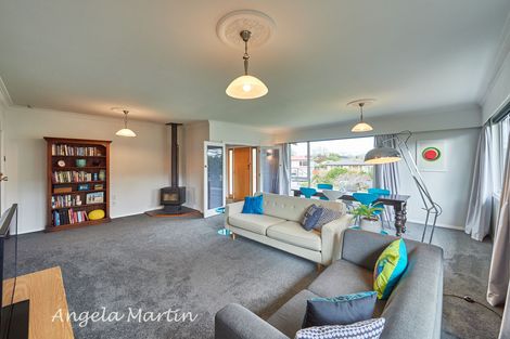 Photo of property in 19 Newcastle Street, Hokowhitu, Palmerston North, 4410