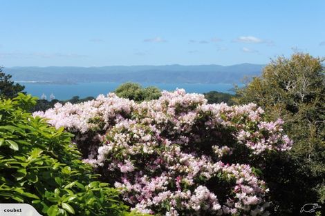 Photo of property in 39 Northland Road, Northland, Wellington, 6012