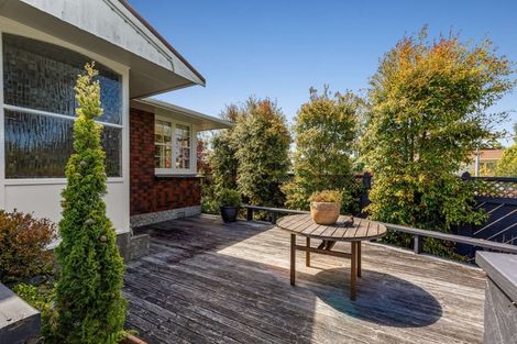 Photo of property in 44 Franklin Avenue, Hokowhitu, Palmerston North, 4410