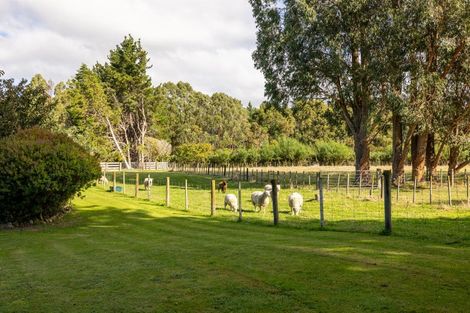Photo of property in 768 State Highway 2, Opaki, Masterton, 5881