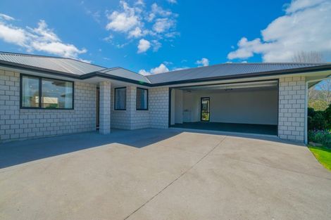 Photo of property in 40 Golden Shore Place, Coromandel, 3506