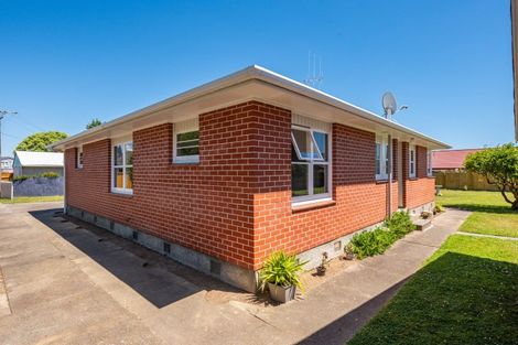 Photo of property in 28 Mahoe Street, Levin, 5510