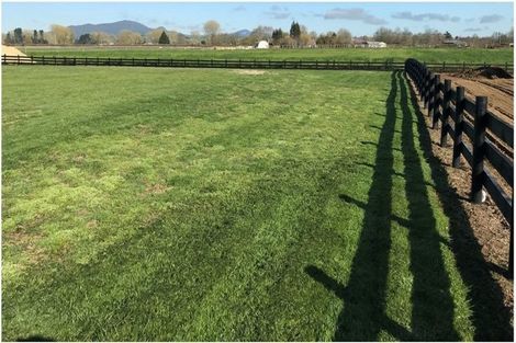 Photo of property in 24 Eldonwood Drive, Matamata, 3400