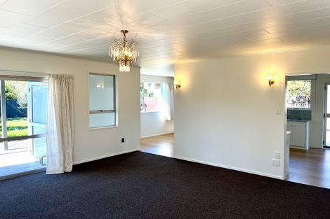 Photo of property in 16 Argosy Place, Blenheim, 7201