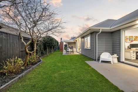 Photo of property in 8 Richards Street, Cambridge, 3434
