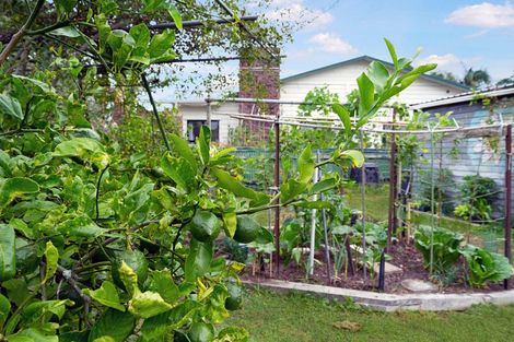 Photo of property in 160 Rosebank Road, Avondale, Auckland, 1026